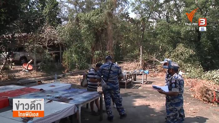 ตัดป่าโกงกาง