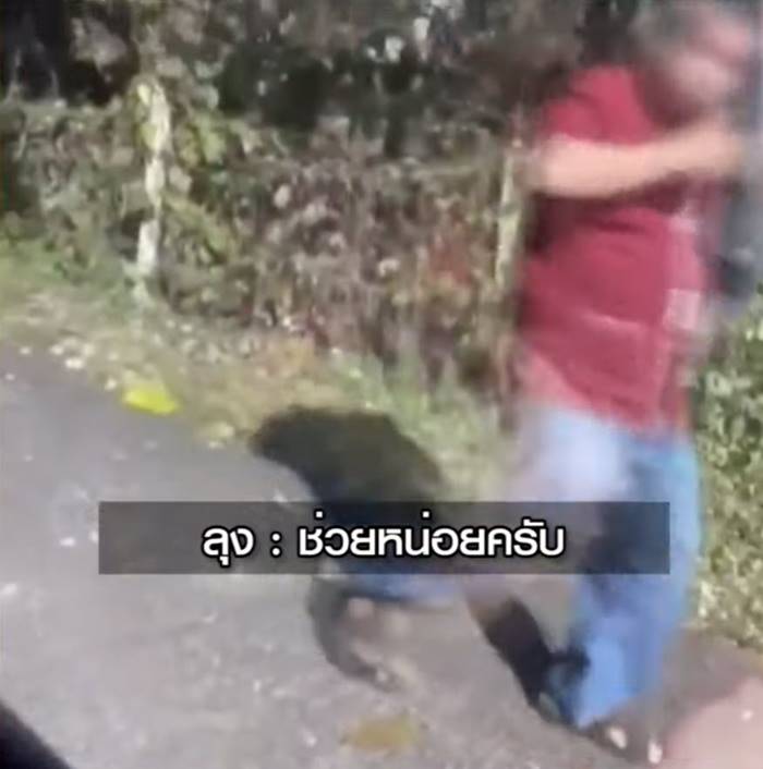  ผึ้งต่อยคน