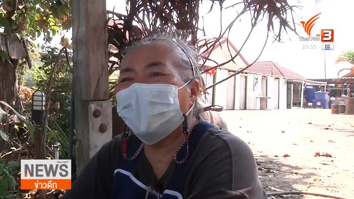 ตัดป่าโกงกาง