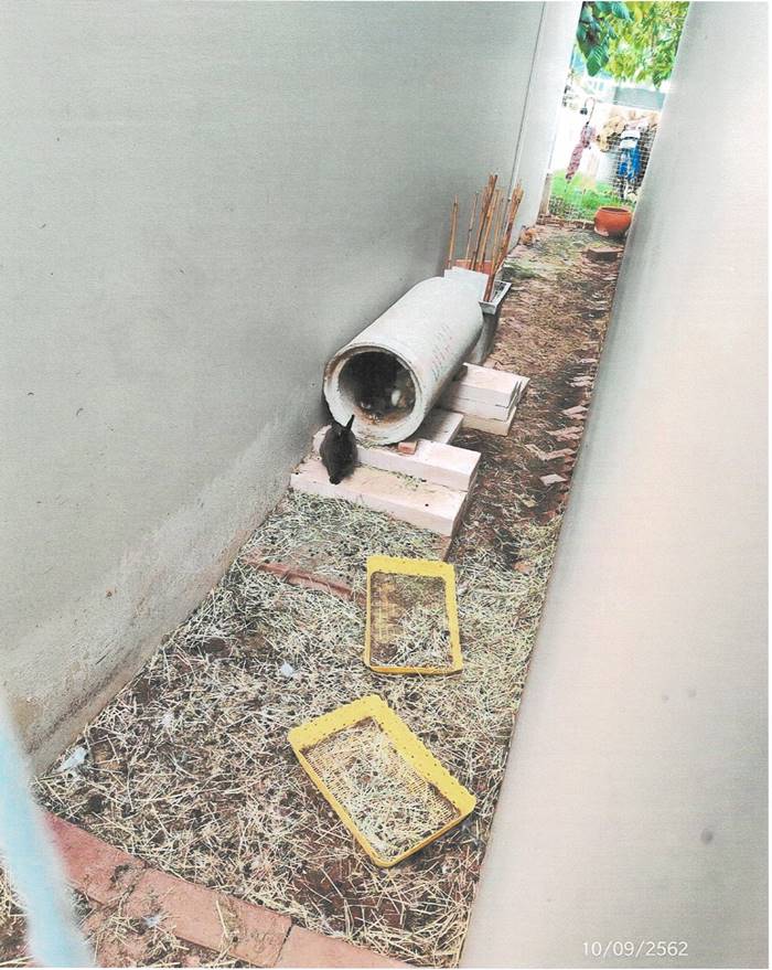 ปัญหาเพื่อนบ้าน, ต่อเติมบ้าน