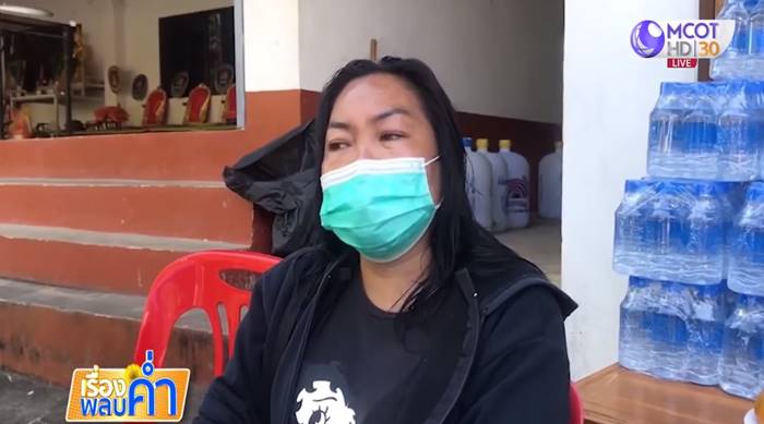  ผึ้งต่อยคน