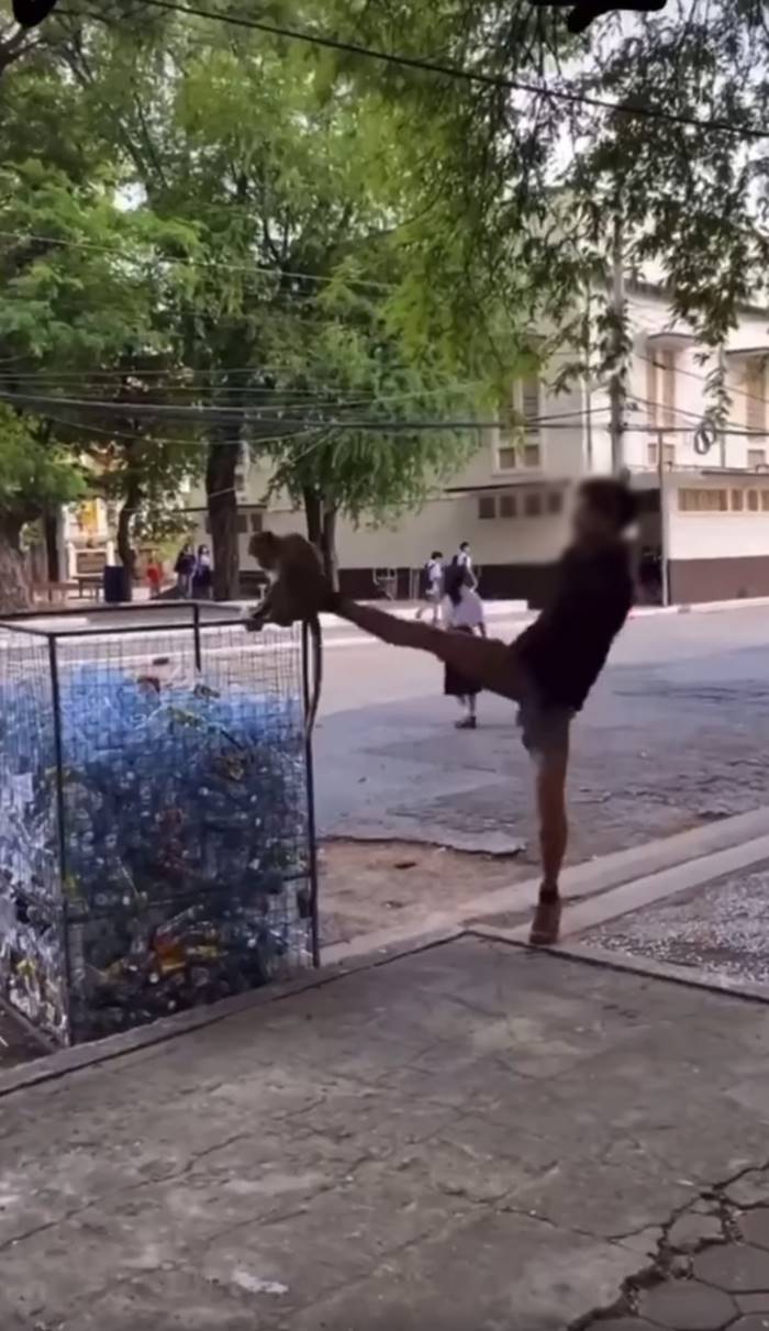 นักเรียนเตะลิง