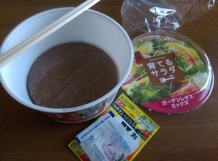 สลัดสำเร็จรูป