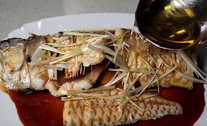 ปลามังกร