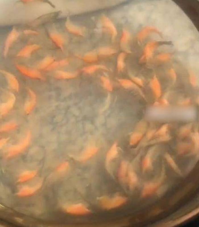 กุ้งเลี้ยง