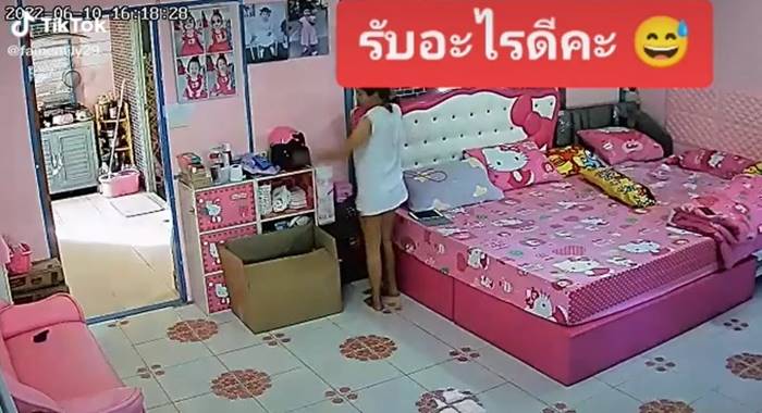 งูในช่องแอร์