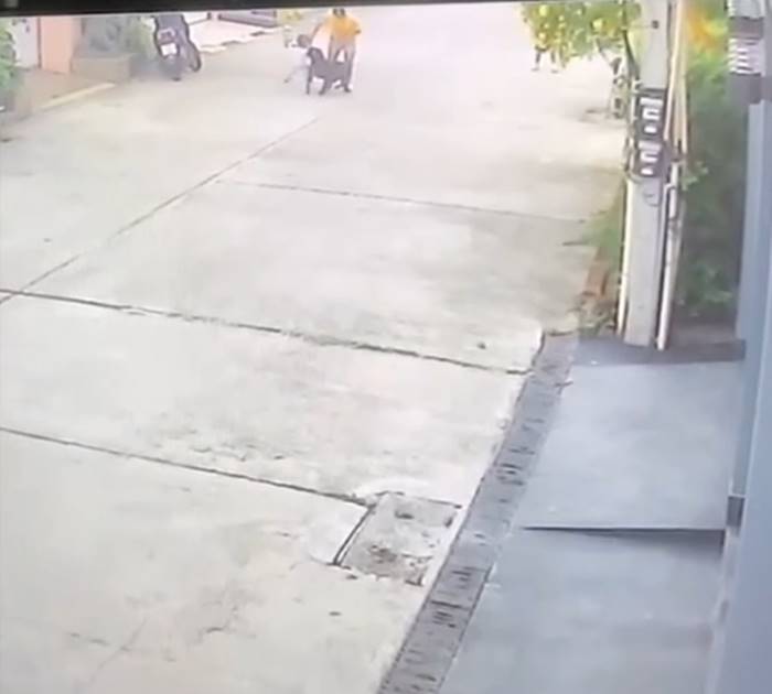 พิตบูลกัดเด็ก