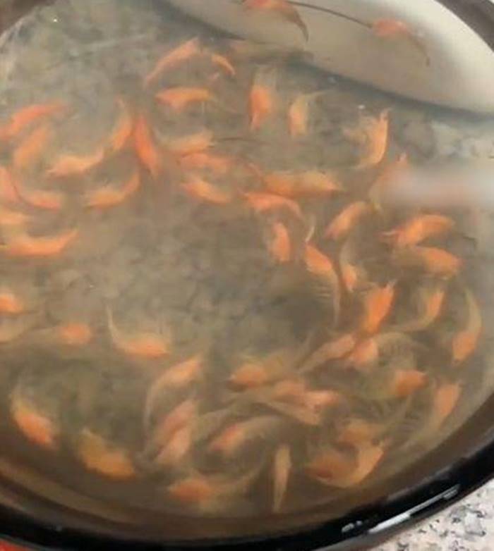 กุ้งเลี้ยง