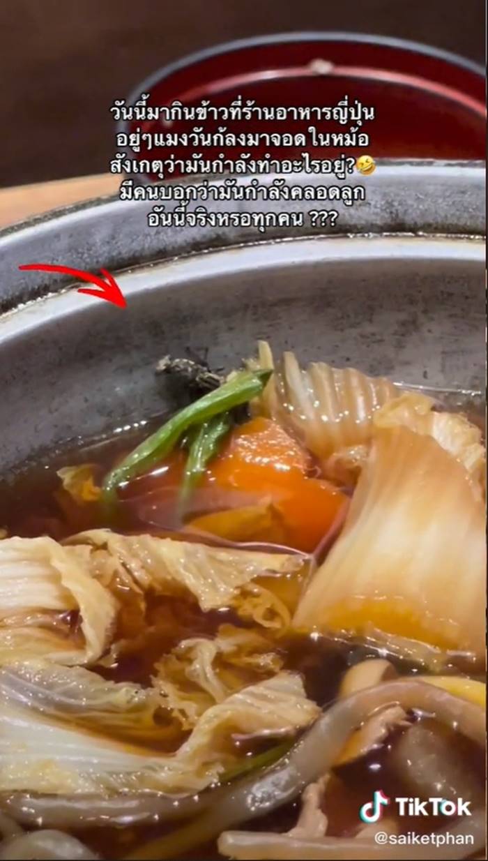 แมลงวันในอาหาร