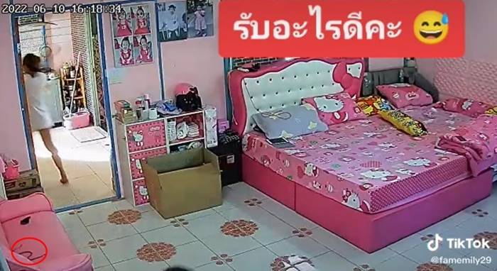 งูในช่องแอร์