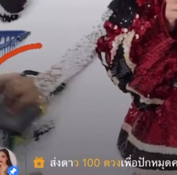 พิมรี่พาย