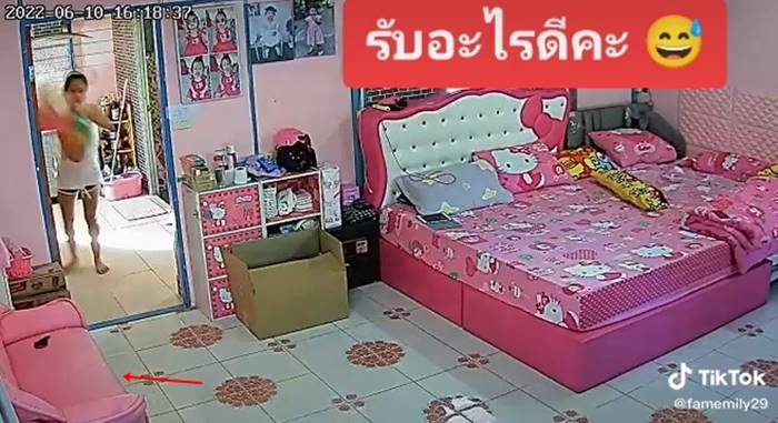 งูในช่องแอร์