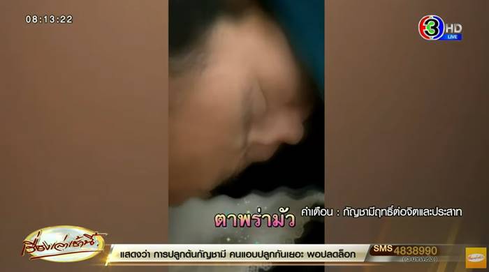 คุกกี้กัญชา