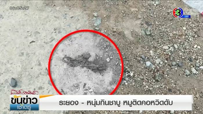 อาหารติดคอ