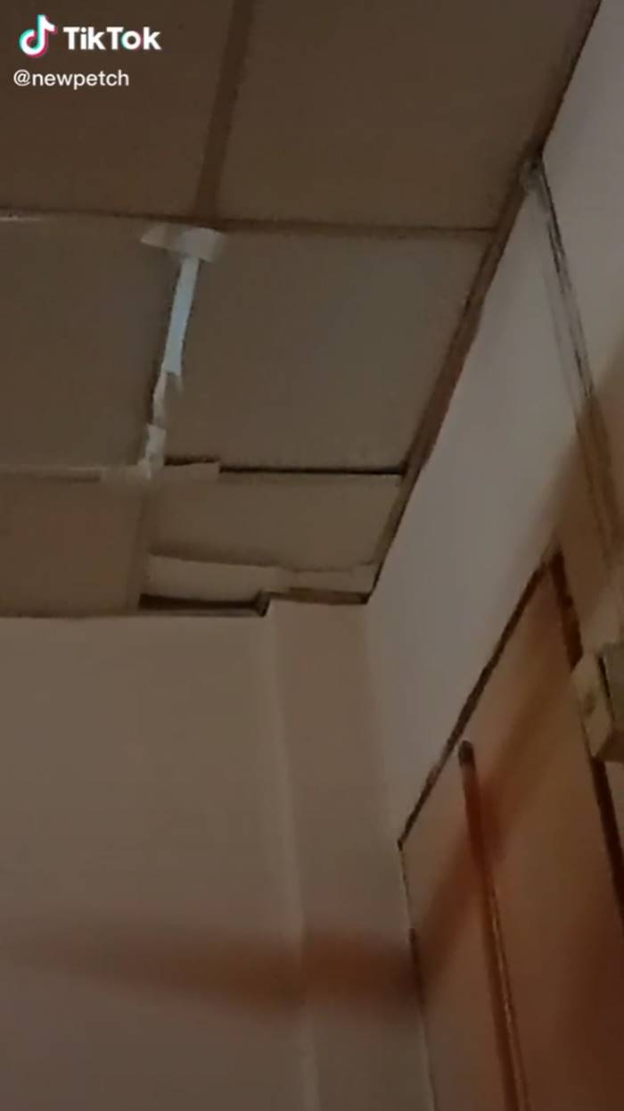 ฝ้าเพดาน