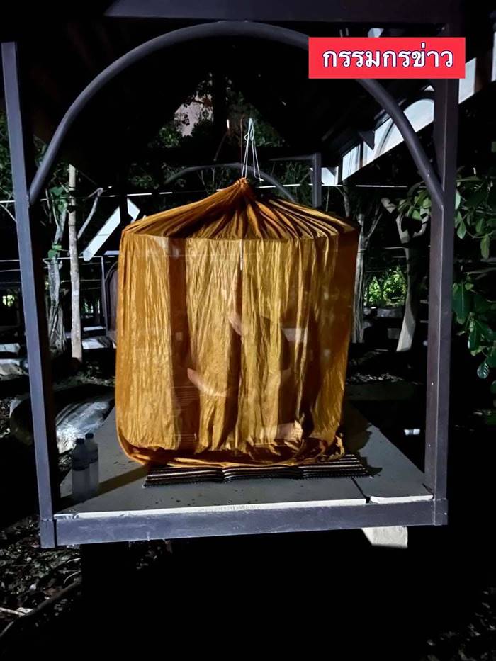 ไฮโซปอ, โรเบิร์ต, แตงโม นิดา