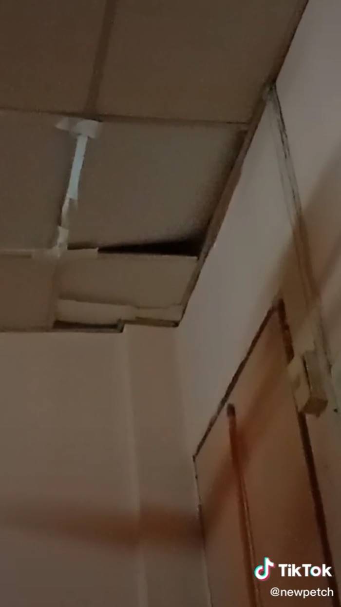 ฝ้าเพดาน