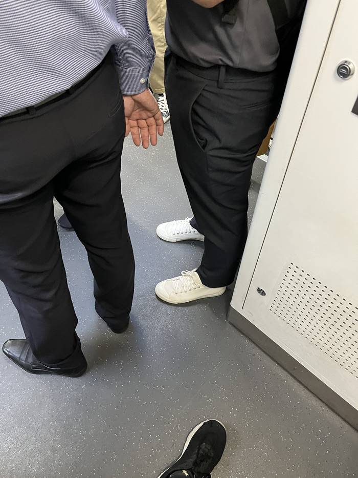 คุกคามทางเพศ,โรคจิตบนรถไฟฟ้า