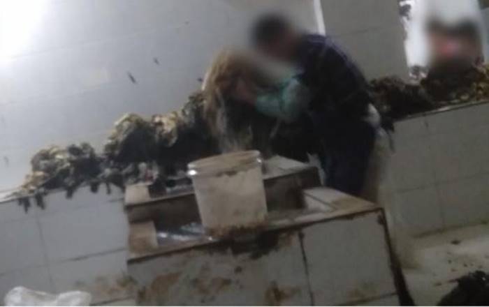 ผักกาดดอง