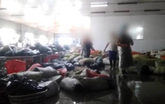 ผักกาดดอง