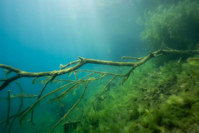 ดำน้ำ, ขุมน้ำท่าแตง