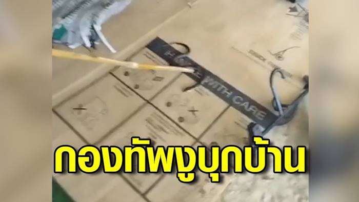 งูเห่าบุกบ้าน