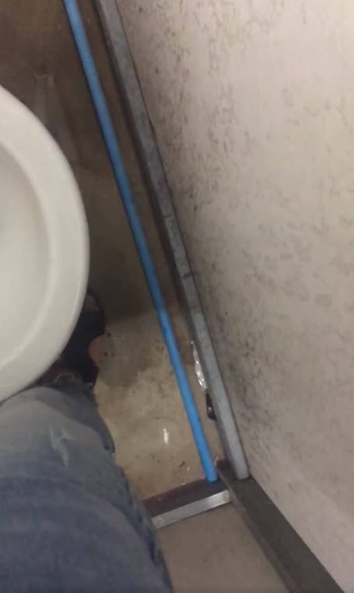  แอบถ่ายห้องน้ำ