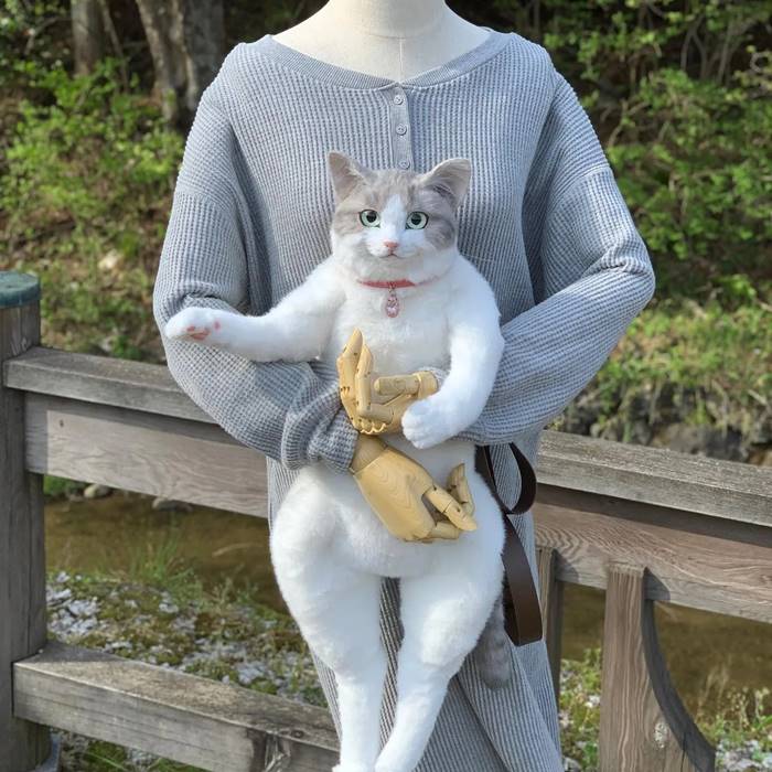 กระเป๋ารูปแมว