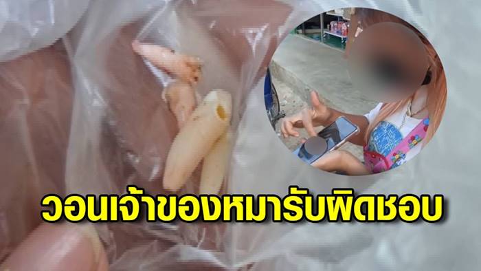 หมากัดคน