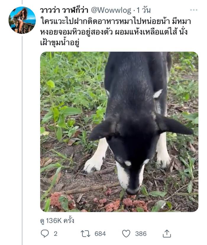 ดำน้ำ, ขุมน้ำท่าแตง