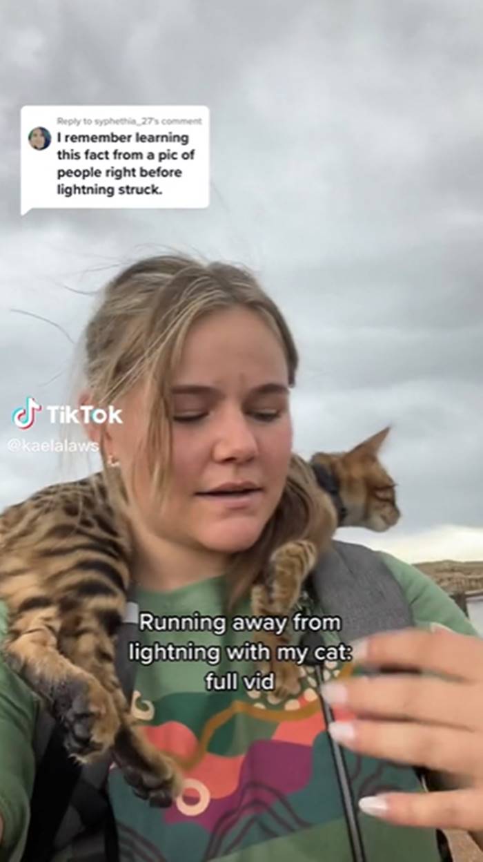 เดินป่ากับแมว