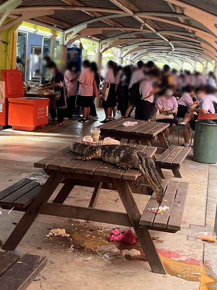  Open House ธรรมศาสตร์