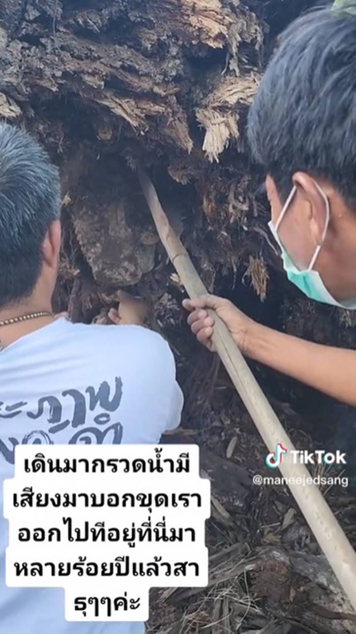 วัดบางเดื่อ อยุธยา