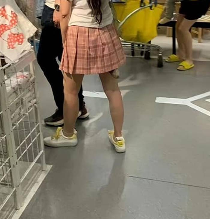 ข่าวแปลก