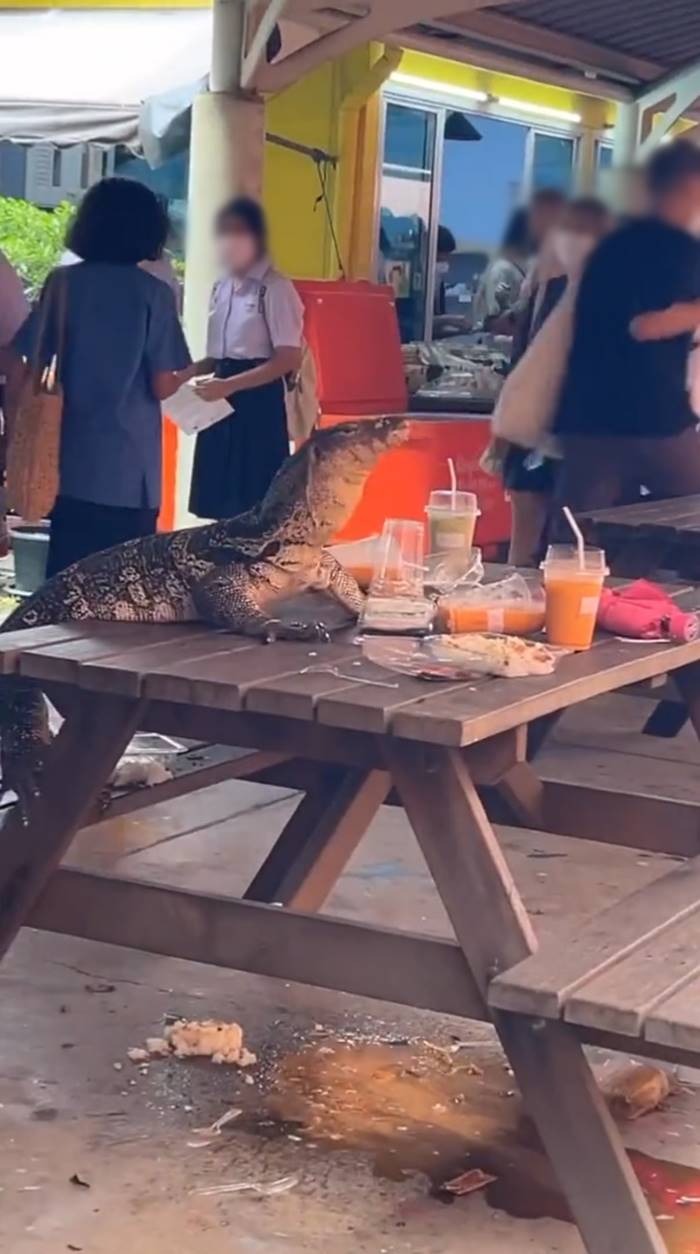  Open House ธรรมศาสตร์