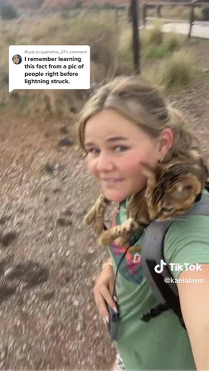 เดินป่ากับแมว