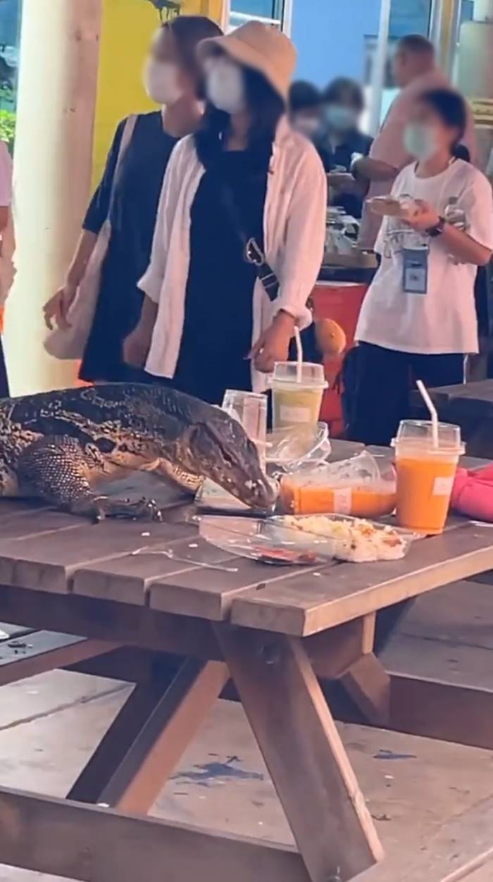  Open House ธรรมศาสตร์