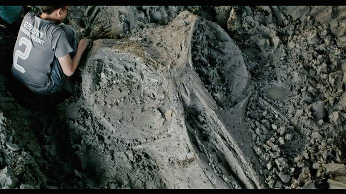 ซากดึกดำบรรพ์