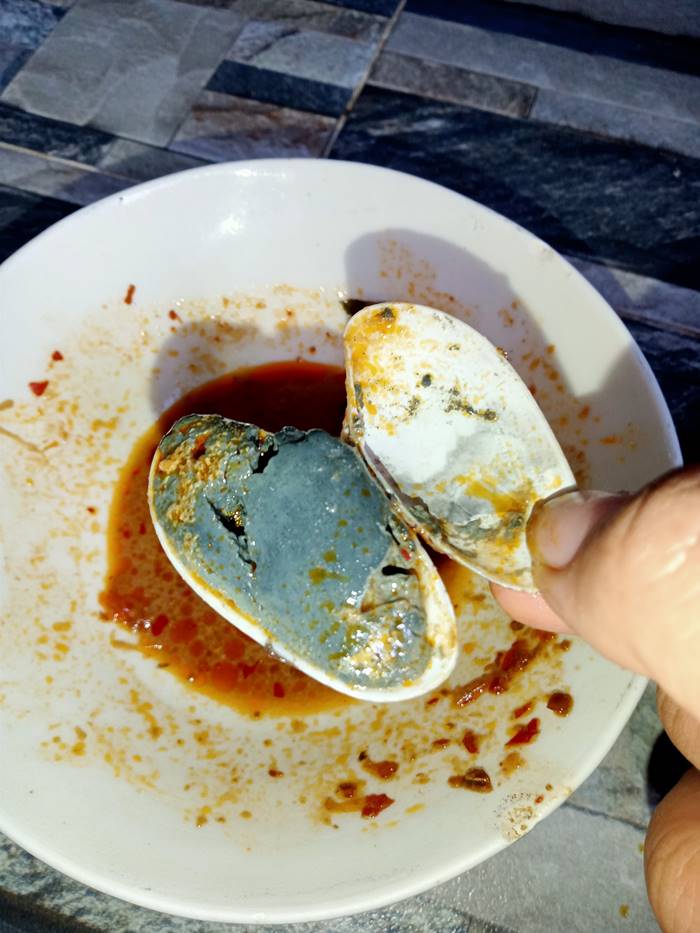 ผัดหอยลาย