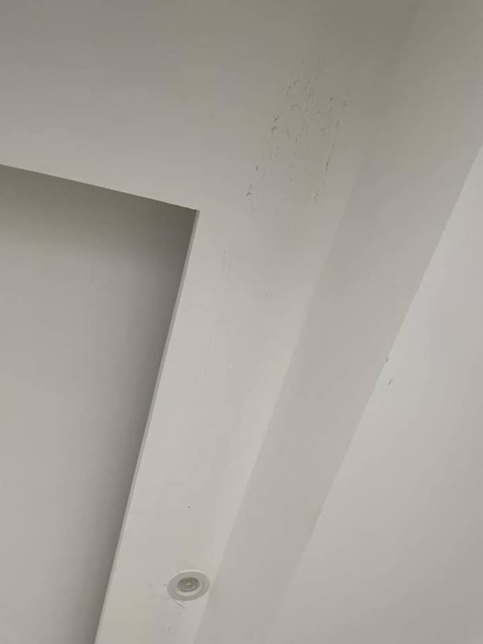 ทำฝ้า, แฉช่าง