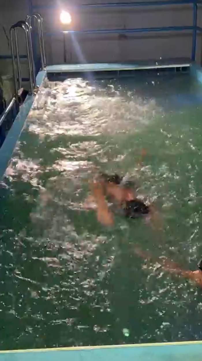 โตโน่ ภาคิน