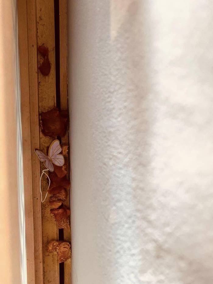 ซูชิบุฟเฟต์