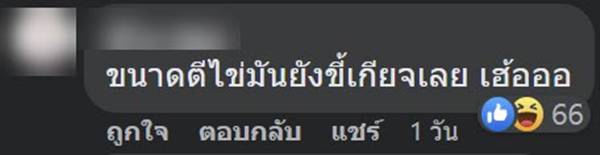 ไข่เจียว