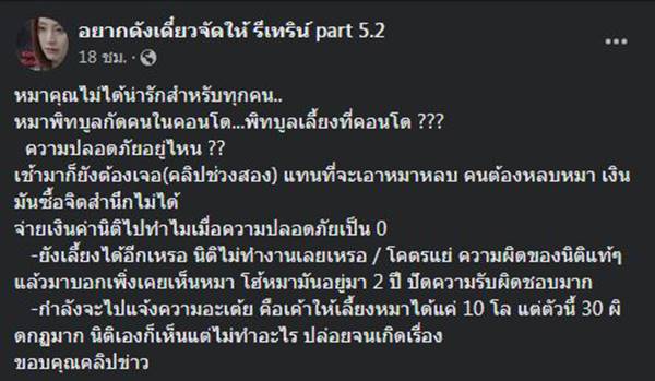พิตบูลกัดคน