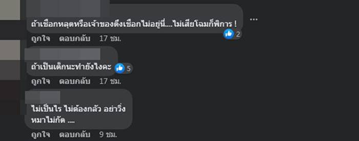 พิตบูลกัดคน