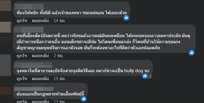 พิตบูลกัดคน