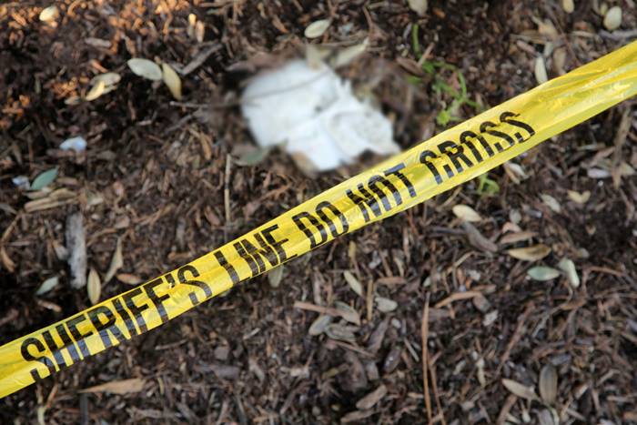 ฆาตกรรมอำพราง