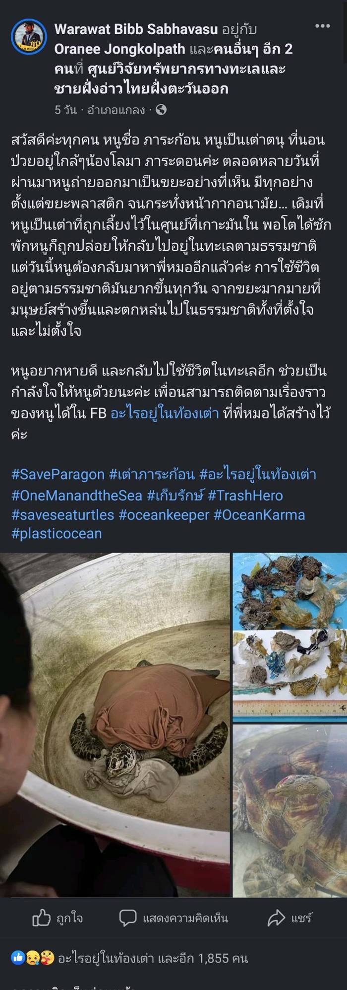 เต่าทะเล