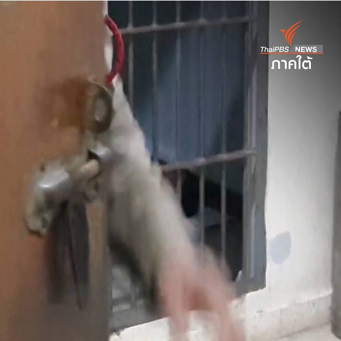 ยิงเด็ก ม.6, เสพยาบ้า