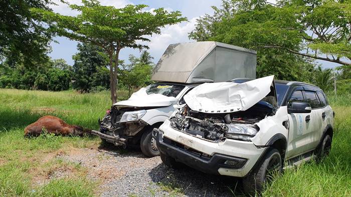 หยอง ลูกหยี